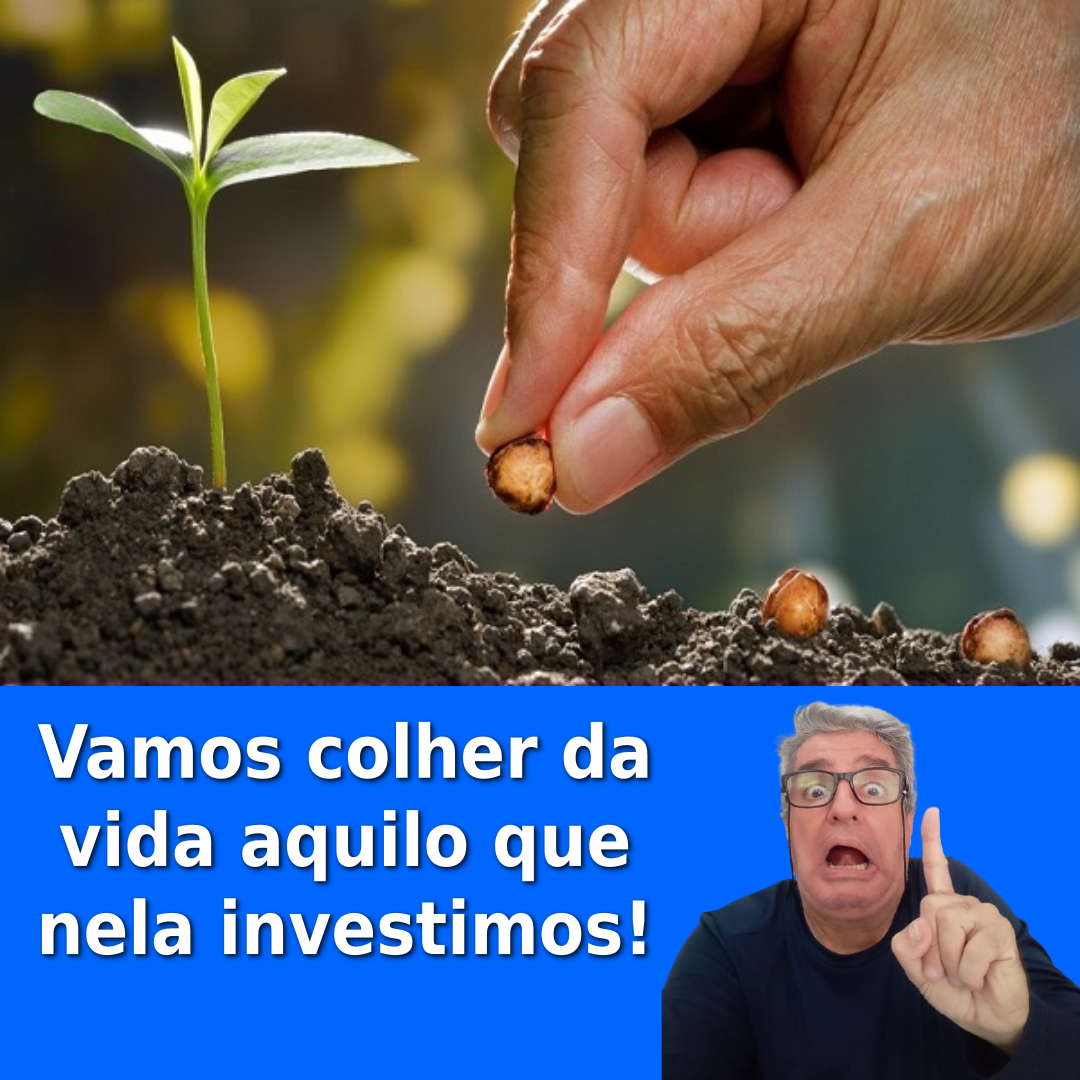 Sobre colher o que investimos